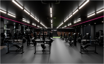REMBRANDT FIT24-EBINA-
